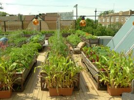 Uncommon Ground (EdgeWater) - Rooftop Farm - Rooftop Bar - Chicago, IL - Hero Gallery 2