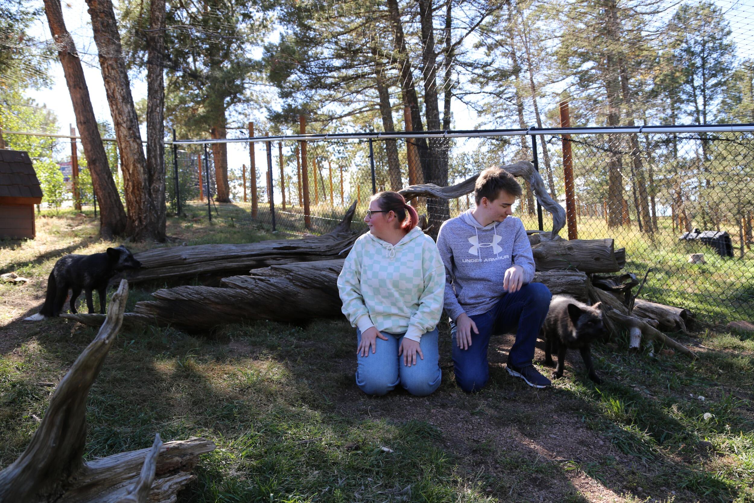 Colorado Wolf and Wildlife Center, Divide, CO