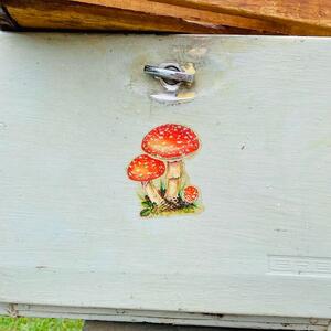 Gallery Photo 71