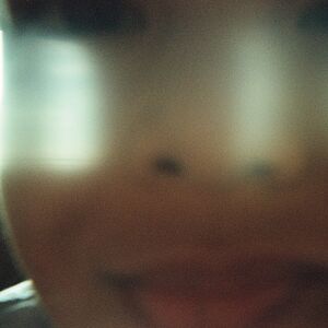 Gallery Photo 93