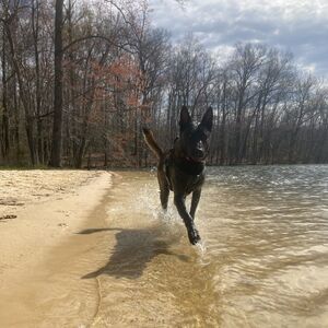 Gallery Photo 9