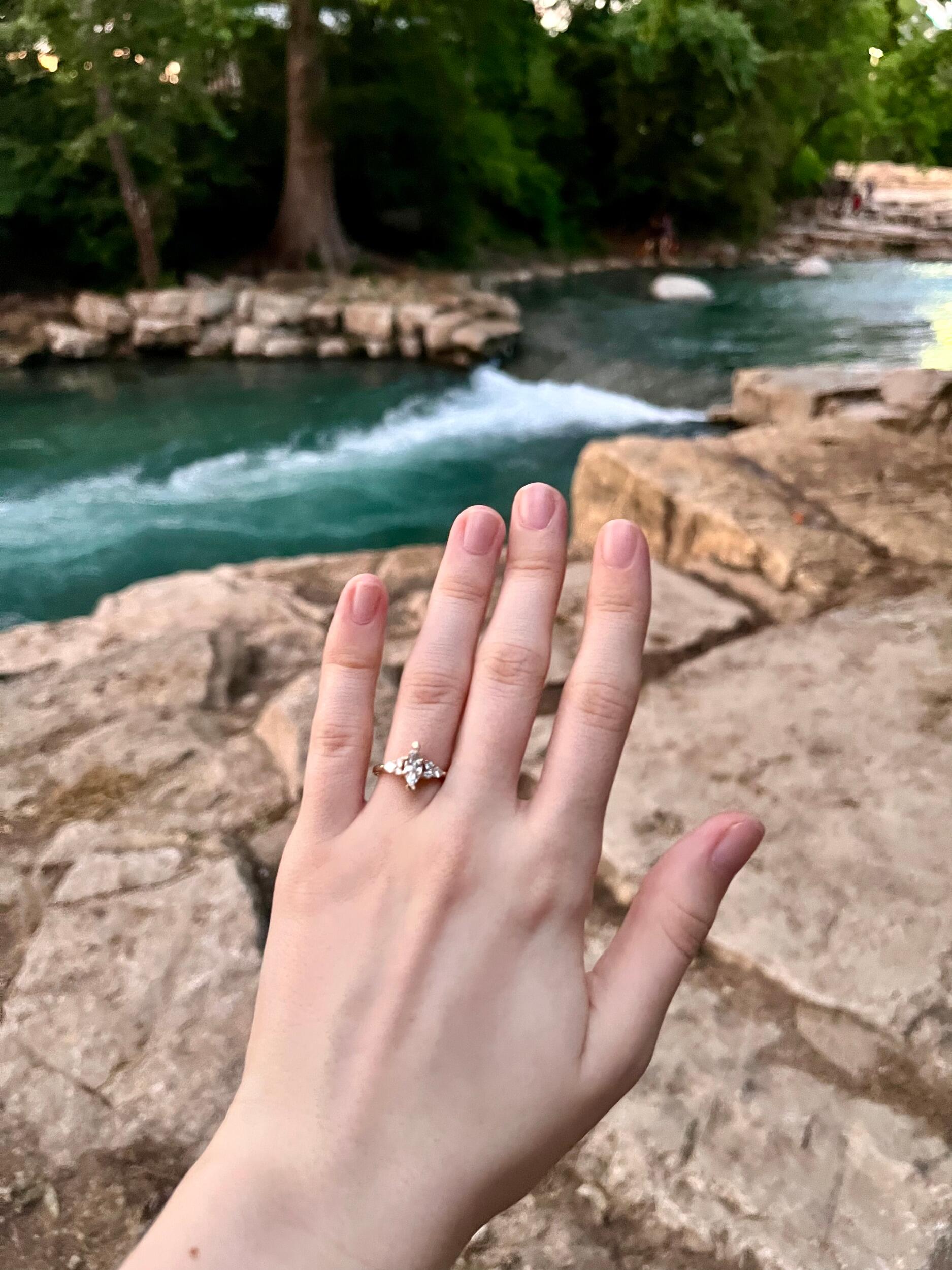 The Proposal