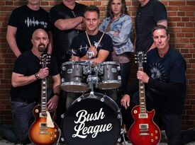 Bush League - Cover Band - Aurora, CO - Hero Gallery 1