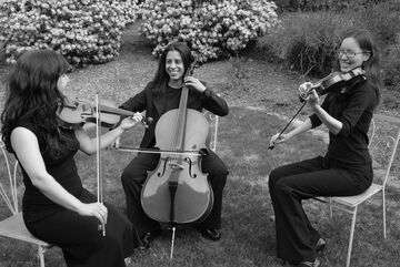 The Amherst String Ensemble - String Quartet - Amherst, MA - Hero Main