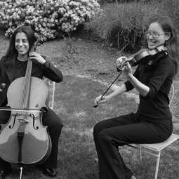 The Amherst String Ensemble, profile image
