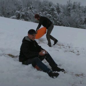 Gallery Photo 14