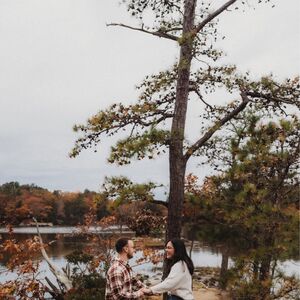 Gallery Photo 40
