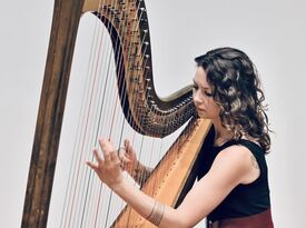 Abbie Palmer - Harpist - Alexandria, VA - Hero Gallery 3