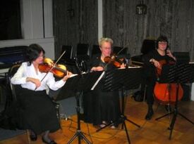 Westminster Strings - Classical Trio - Westerly, RI - Hero Gallery 1