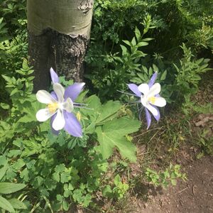 Gallery Photo 14
