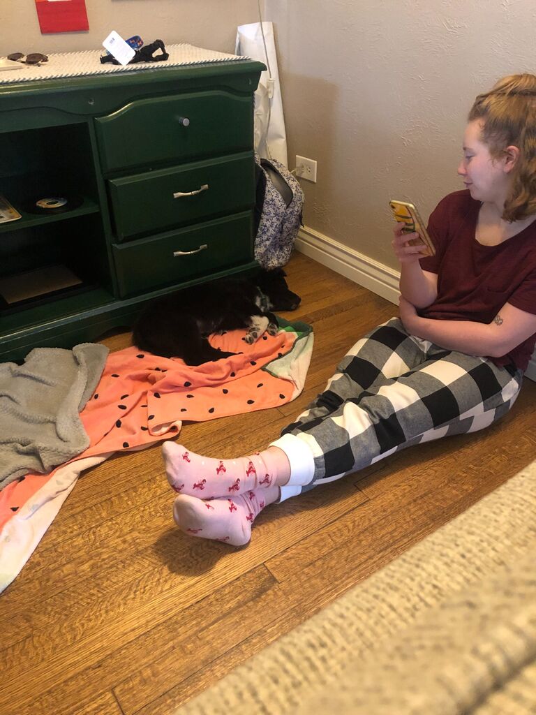 After looking at dogs to adopt non-stop since arriving in Denver - Steph found one Emanuel approved. We adopted Bowie as a 3 month old pup from a local rescue (Bowie is also a Texas boy)