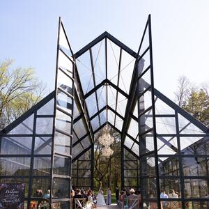 Gallery Photo 26