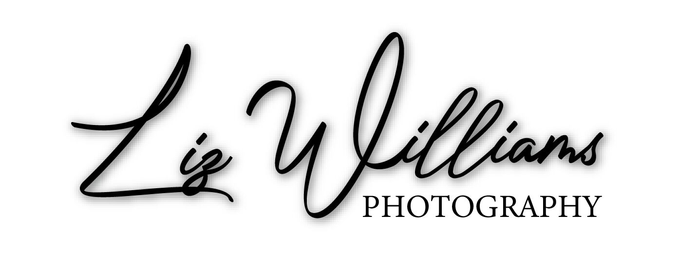 Liz Williams Photography | Wedding Photographers - The Knot