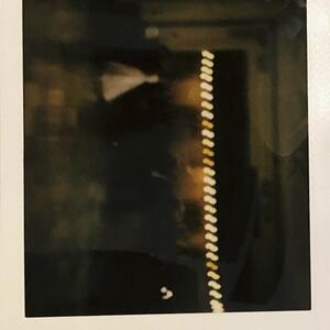Gallery Photo 43