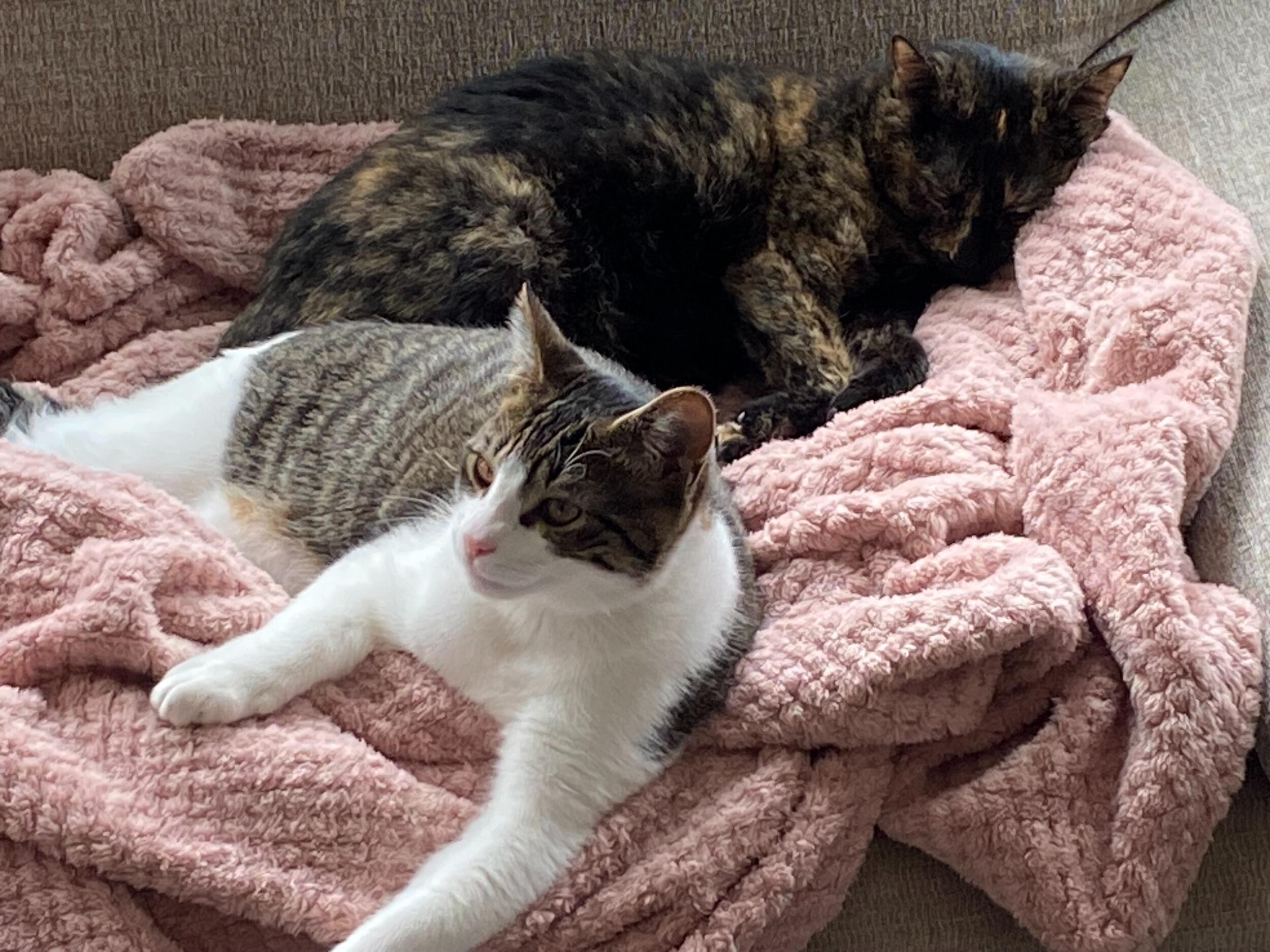 Clara and Ollie aka "the kids"
