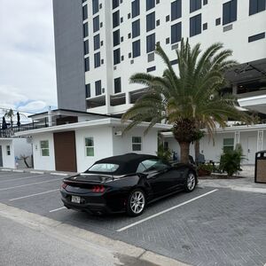Gallery Photo 25