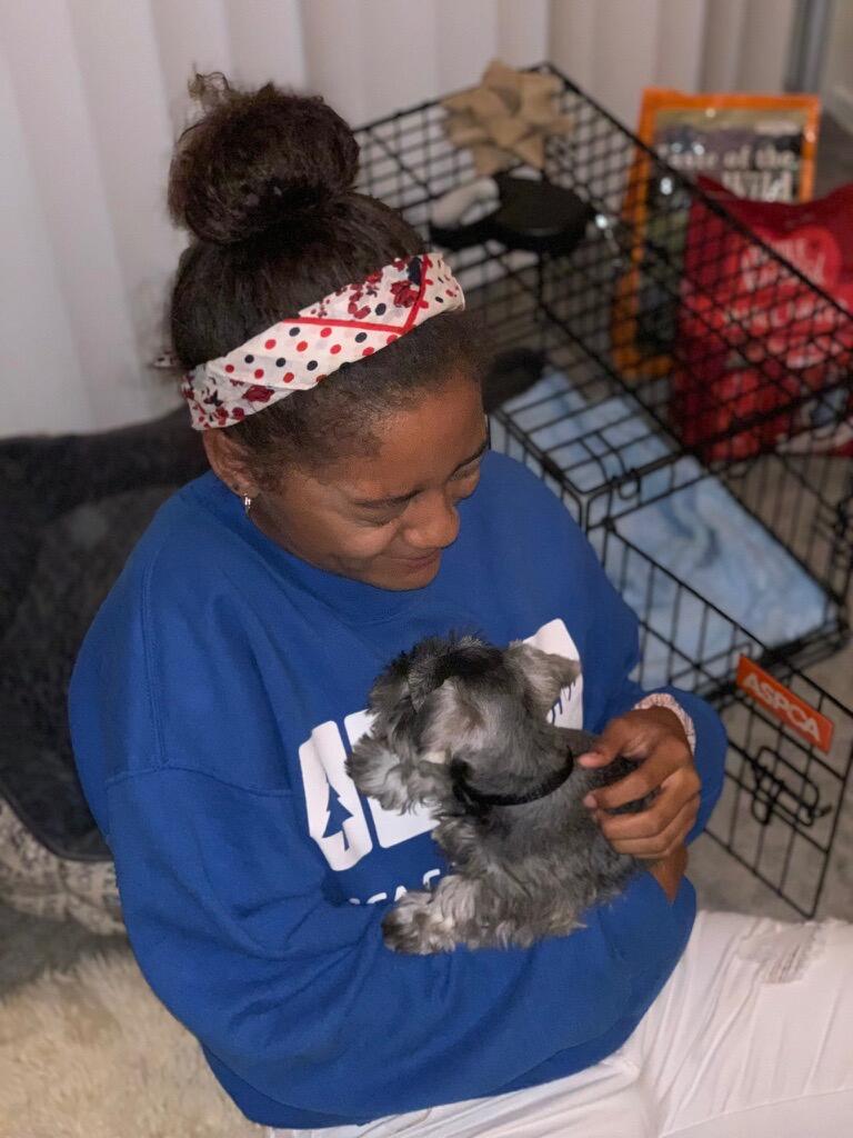 This was the day Zahlaya got our family pet, Pixel. He came home this day, and has been barking and biting us ever since. 
