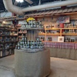 Gallery Photo 5