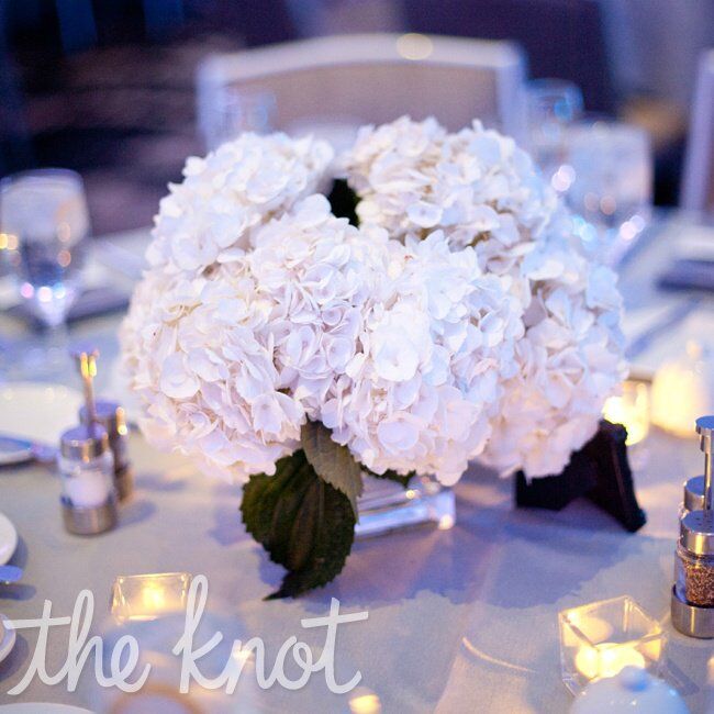 White Hydrangea Centerpiece