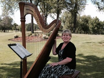 Debbie Beck, Harpist - Harpist - Cleveland, OH - Hero Main
