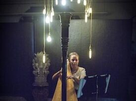 The Modern Harpist - Lauren Baker - Harpist - Danvers, MA - Hero Gallery 3