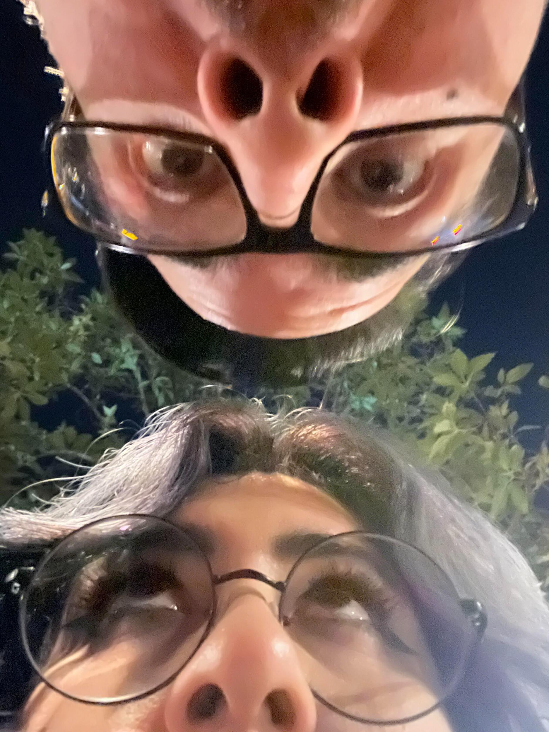 Silly Disneyland Day