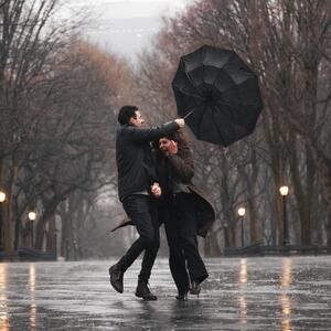 Gallery Photo 26