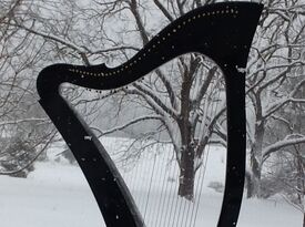 Beautiful Harp Music - Harpist - Reading, PA - Hero Gallery 2