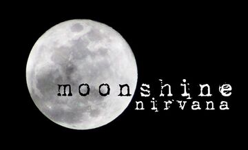 Moonshine Nirvana - Country Band - La Crosse, WI - Hero Main