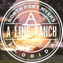 Vendor Logo