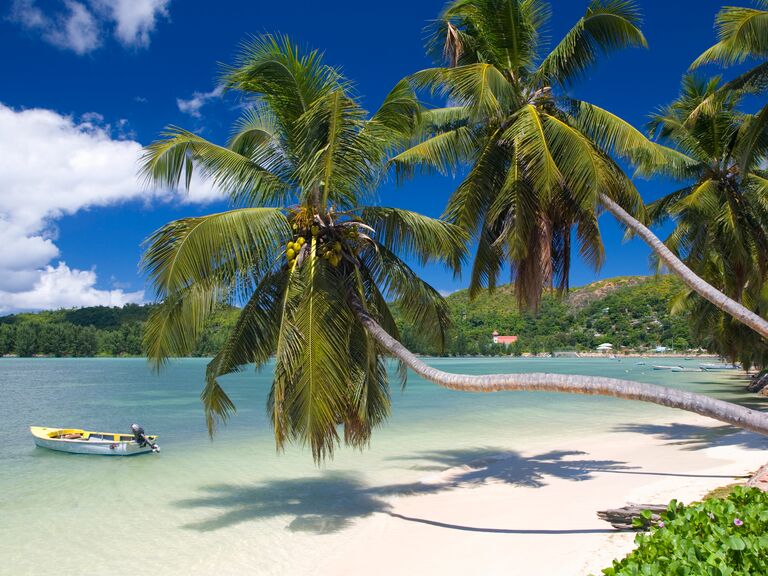 Palm-lined bay, Baie Ste Anne, Praslin, Seychelles