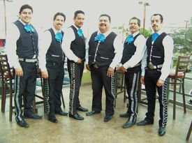 mariachi ruiseñor - Mariachi Band - Los Angeles, CA - Hero Gallery 2