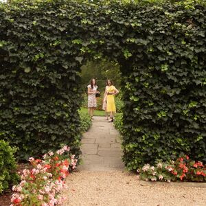 Gallery Photo 9