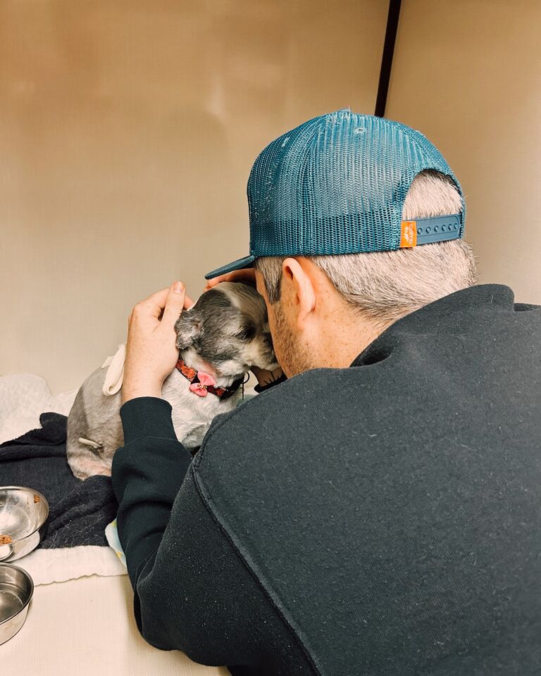 Molly and Dawson had a traumatic experience but it grew them closer and closer. They are both very happy and relived that their little girl Ruby is healed up and a happy puppy! 