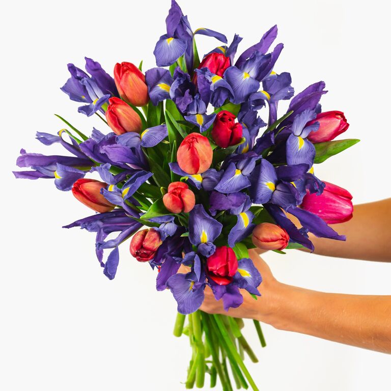 Blue iris flower delivery gift idea for 45th anniversary. 