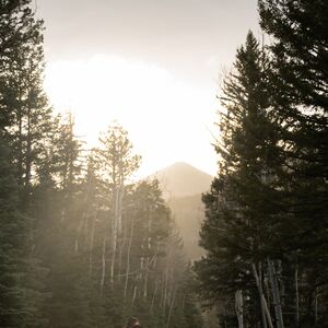 Gallery Photo 14