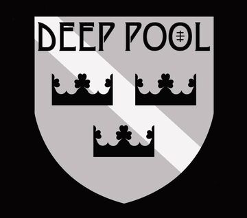 Deep Pool - Folk Band - Madison, WI - Hero Main