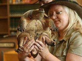 REPCO Wildlife Encounters - Reptile Show - Perry, NY - Hero Gallery 1