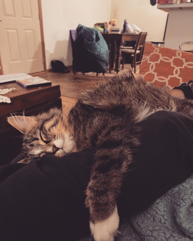 Chamomile joined the family.