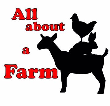 All About A Farm - Petting Zoo - Davis, CA - Hero Main