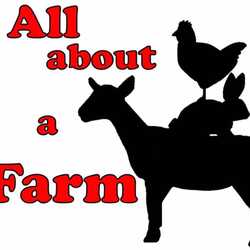 All About A Farm, profile image