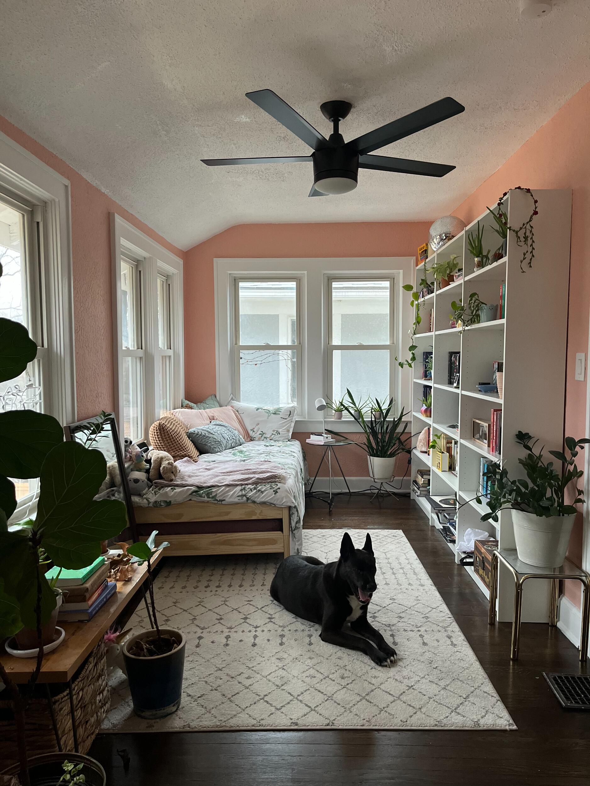 K&T build a pink library in their home. Something K has been dreaming about for a long time.