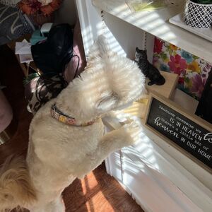 Gallery Photo 49