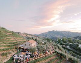 Overview of vineyard wedding venue