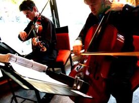 The Dolanc String Quartet - String Quartet - Davis, CA - Hero Gallery 1