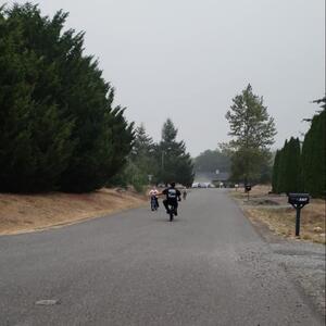 Gallery Photo 147