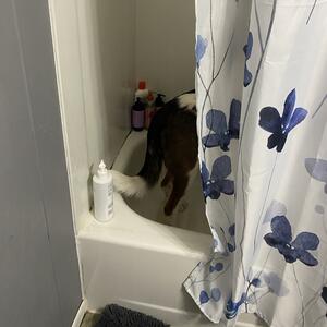 Gallery Photo 110