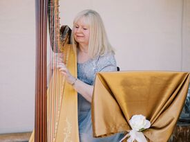 Beautiful Harp Music - Harpist - Reading, PA - Hero Gallery 1