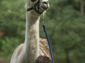 Beautiful Creatures Farm To You Revue - Petting Zoo - Ocala, FL - Hero Gallery 1