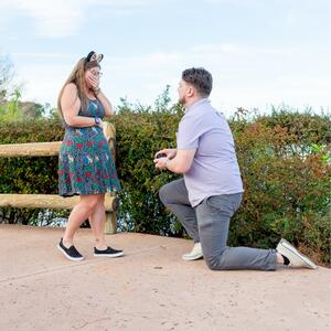 Gallery Photo 39